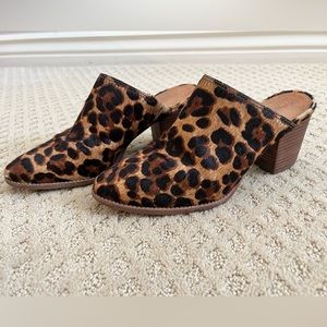 Madewell The Harper Mule in Leopard SZ 7